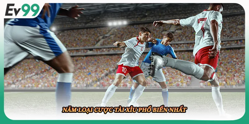 Năm loại cược tài xỉu phổ biến nhất